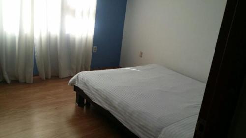 H3 Hostel Jeju Hotel Jeju City In Republic Of Korea - 