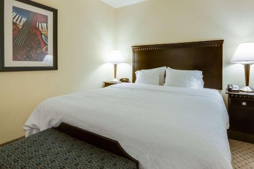 Hampton Inn & Suites Mount Juliet - image 11