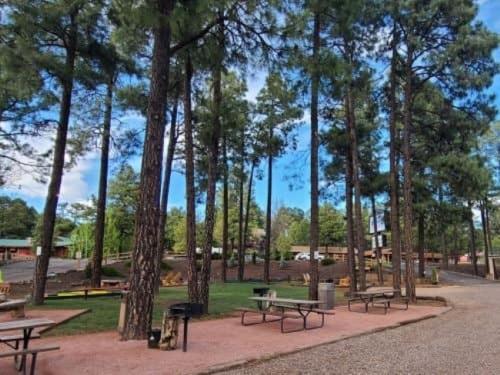 The Nook Pinetop