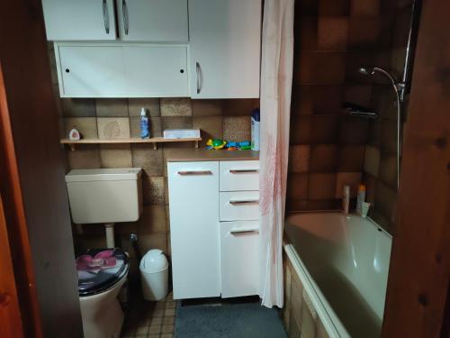 Holiday Apartment Murtal photo 3