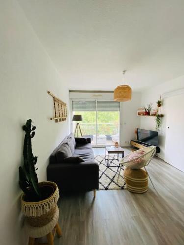 Superbe appartement, parking privatif et piscine - Location saisonnière - Pau