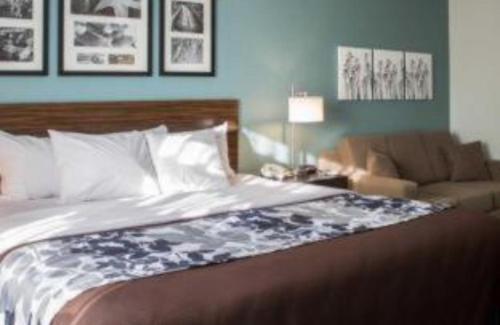 Sleep Inn & Suites - image 6