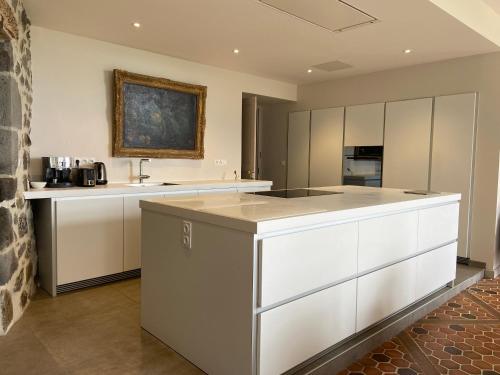 Kitchen, Beau chateau dans le Cantal au coeur du Pays Vert in Jussac