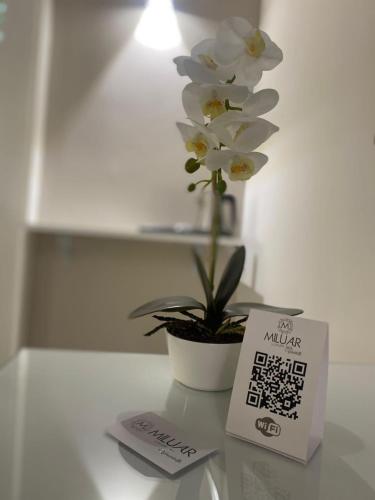 MILUAR Luxury - Vanvitelli 3