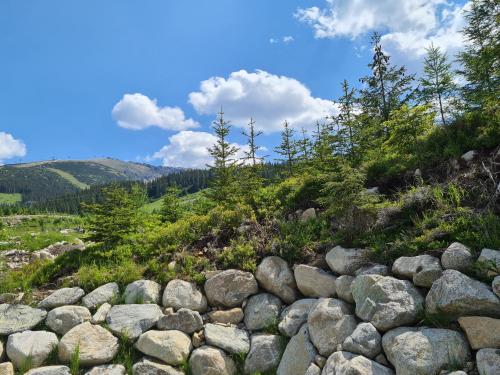 SKALA JASNÁ - Free Jacuzzi & Finnish Sauna obrázok