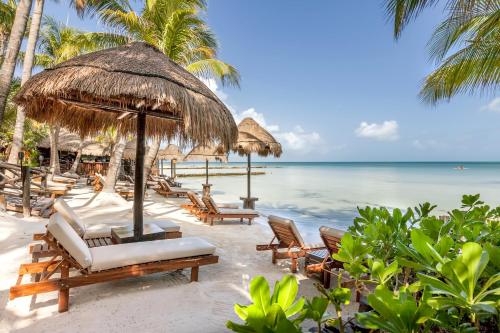 Beachfront Hotel La Palapa