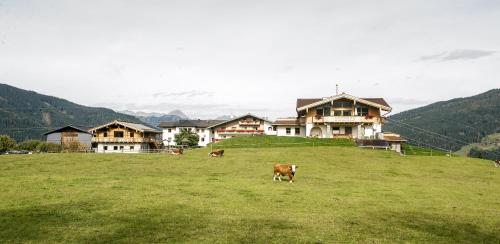 Chalet Winterbauer