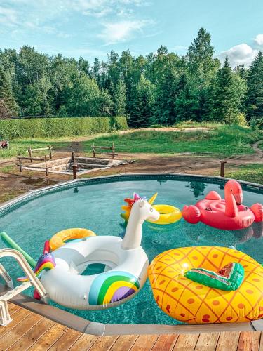 Auberge Mandala in แซ็ง-มาทิเยอ-ดู-ปาร์ก (QC)