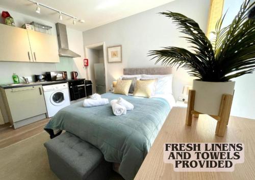 Cute and cosy studio in a Fantastic Location! BISHOPS STORTFORD - Apartment - Bishops Stortford