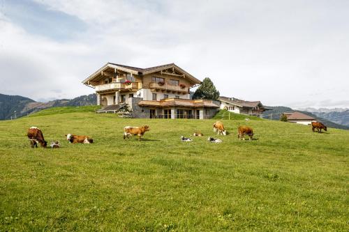 Chalet Winterbauer, Flachau (fotografie 6)
