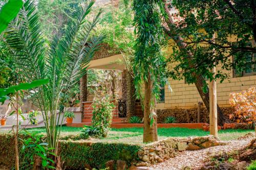 grădină, Hostel Kiliwood in Moshi