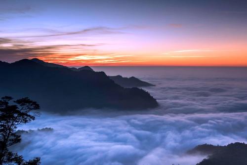 紫龍星空民宿評價、茶園景觀體驗、手作早餐與包棟服務 – 阿里山茶園秘境 - 照片 3