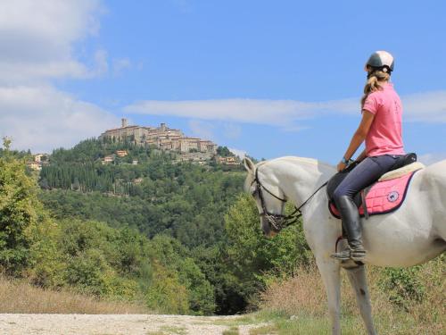 Farmhouse with stables horses and the ability to make horseback riding