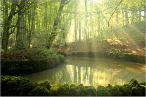 Casa Natura Gargano