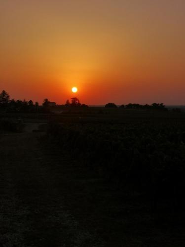 L Escale des Vignes GITE proche Saint Emilion Chateau Beynat