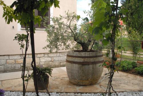 Mon Perin Castrum - Studio Apartment Adriano - Bale