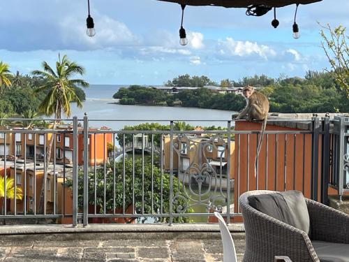 Cozy one bedroom apartment in a secure complex , PORT CHAMBLY Mauritius