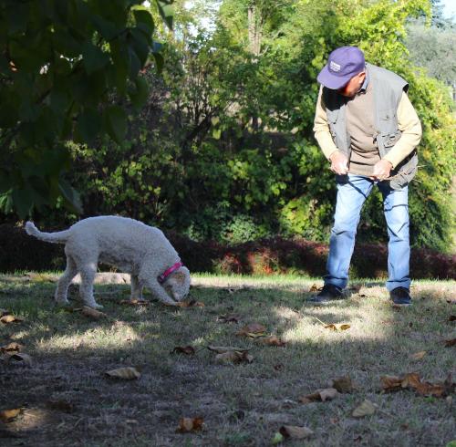 AMAZING LANGHE AND MONFERRATO | House with garden