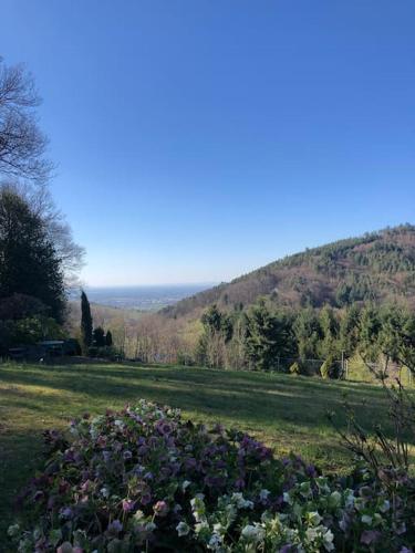 Top ausgestattete Wohnung in Traumlage mit grandioser Aussicht