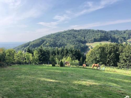 Top ausgestattete Wohnung in Traumlage mit grandioser Aussicht