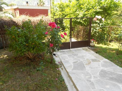 Apartments Samardzic - image 4