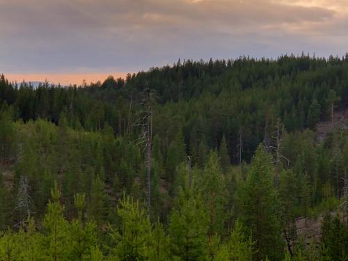 Kelohonkahuoneisto Käkriäinen A