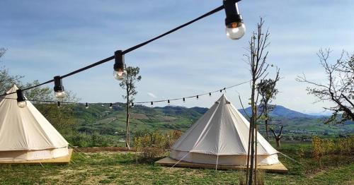  Bell tent in the vineyard with spectacular view in Ortezzano