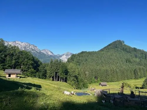 Apartment Hochsteinalm in Traunkirchen, Österreich