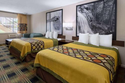 Super 8 By Wyndham Williamsburg/Historic Area in วิลเลียมสเบิร์ก (VA)