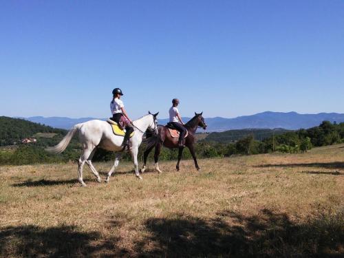 Farmhouse with stables horses and the ability to make horseback riding