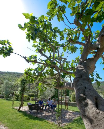 Country Relais La Mortella - image 4