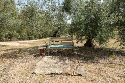 Olive Tent - In Our Garden