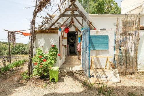 B&B Capitana - Olive Tent - In Our Garden - Bed and Breakfast Capitana