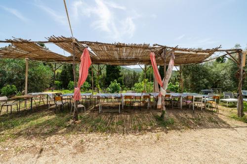 Olive Tent - In Our Garden