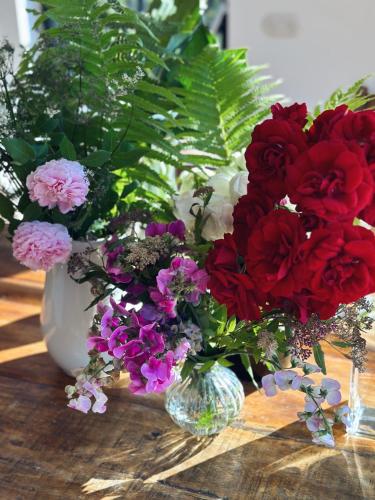 Abrahams Bayr Cottage Abrahams Bayr Cottage