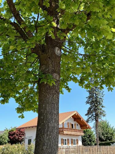 Abrahams Bayr Cottage Abrahams Bayr Cottage