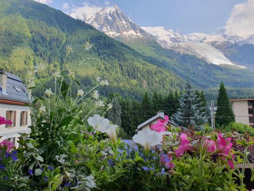 LA TARGA, Cosy et Chaleureux - Location saisonnière - Chamonix-Mont-Blanc