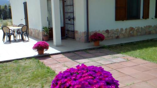B&B Le Vele Teulada 5