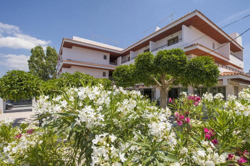 Hotel Bahia Playa