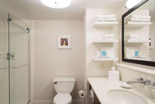 Hampton Inn Seymour - image 13