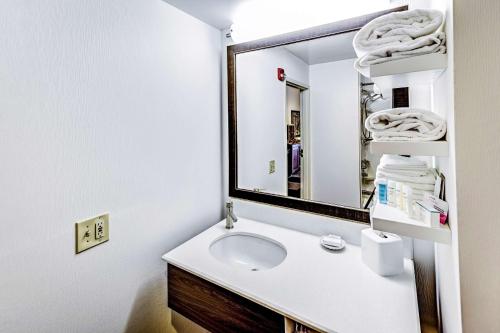 Hampton Inn Columbus-I-70 E/Hamilton Rd - 화장실