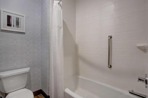 Hampton Inn & Suites Dallas-DeSoto - image 8