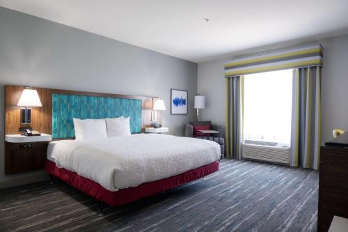 Hampton Inn and Suites Dallas/Lewisville-Vista Ridge Mall - image 12