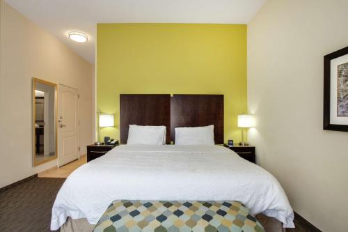 Hampton Inn Ozark - image 14