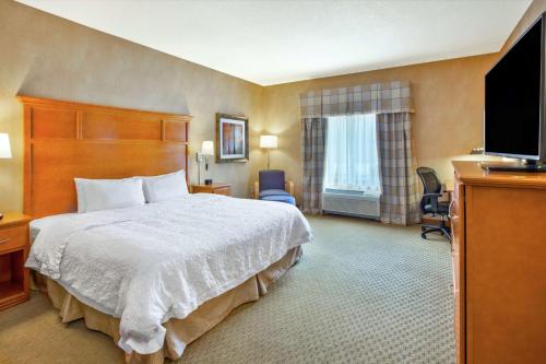 Hampton Inn By Hilton Detroit/Utica-Shelby Township