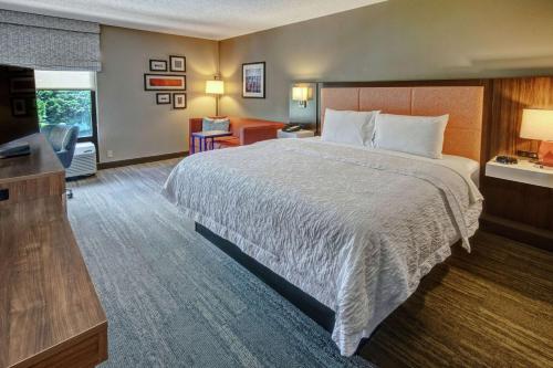 1 king bed, 1 sofa bed