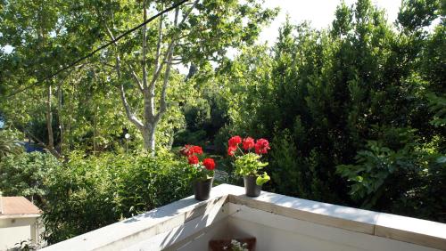 Deluxe Apartment Joia with Balcony on the Beach Bačvice, Free Parking, Old Town, Near Ferry Port, Split (photo 6)