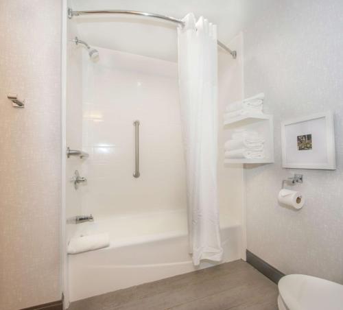 Hampton Inn Gaffney - image 6
