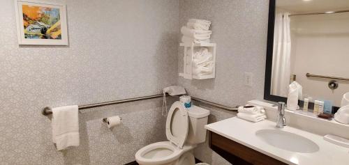 Hampton Inn - Hillsville - image 9