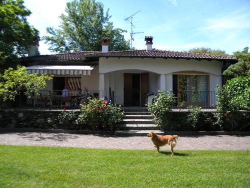 Villa Daniela, Lesa (fotografie 2)